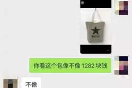 普陀区融资清欠服务